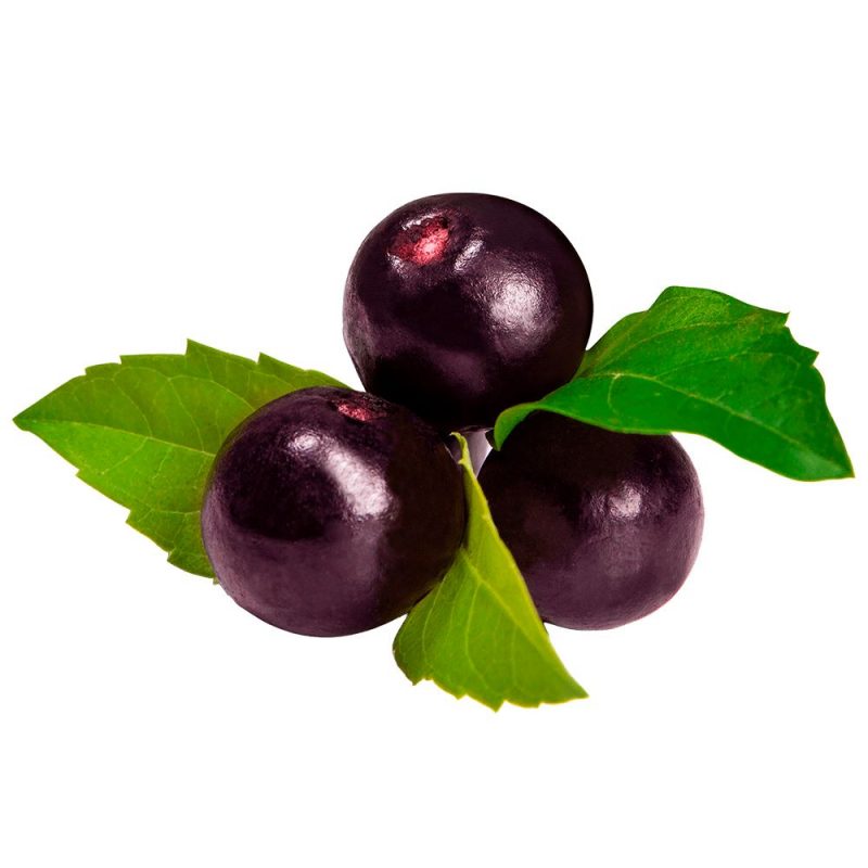 Сироп для слашу NAC Асаї 5 л (GRA5LACA00)